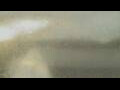 Webcam Alachua, Florida