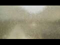 Webcam Alachua, Florida