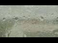 Webcam Alachua, Florida
