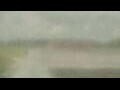 Webcam Alachua, Florida