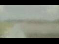 Webcam Alachua, Florida