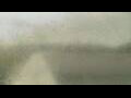 Webcam Alachua, Florida
