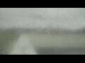 Webcam Alachua, Florida