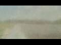 Webcam Alachua, Florida