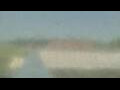 Webcam Alachua, Florida
