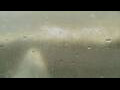 Webcam Alachua, Florida