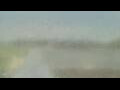Webcam Alachua, Florida