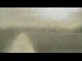 Webcam Alachua, Florida