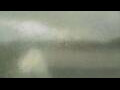 Webcam Alachua, Florida