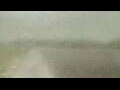 Webcam Alachua, Florida