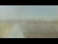 Webcam Alachua, Florida