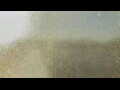 Webcam Alachua, Florida