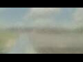 Webcam Alachua, Florida