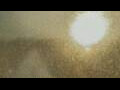 Webcam Alachua, Florida