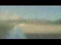 Webcam Alachua, Florida