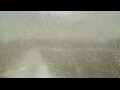 Webcam Alachua, Florida