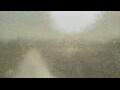 Webcam Alachua, Florida