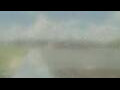 Webcam Alachua, Florida