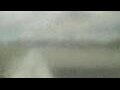 Webcam Alachua, Florida