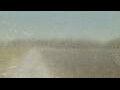 Webcam Alachua, Florida