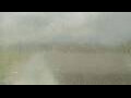Webcam Alachua, Florida