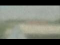 Webcam Alachua, Florida