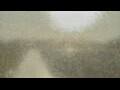 Webcam Alachua, Florida