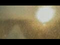 Webcam Alachua, Florida