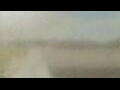 Webcam Alachua, Florida