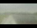 Webcam Alachua, Florida