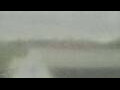 Webcam Alachua, Florida