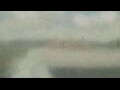 Webcam Alachua, Florida