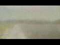 Webcam Alachua, Florida