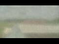 Webcam Alachua, Florida
