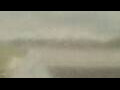 Webcam Alachua, Florida