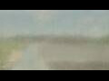 Webcam Alachua, Florida