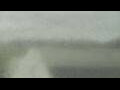 Webcam Alachua, Florida