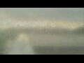 Webcam Alachua, Florida