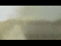 Webcam Alachua, Florida