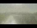 Webcam Alachua, Floride