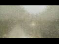 Webcam Alachua, Florida