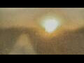 Webcam Alachua, Florida