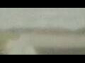 Webcam Alachua, Florida