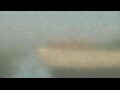 Webcam Alachua, Florida