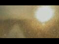 Webcam Alachua, Florida