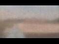 Webcam Alachua, Florida