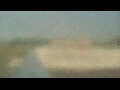 Webcam Alachua, Florida