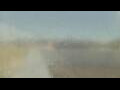 Webcam Alachua, Florida