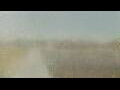 Webcam Alachua, Florida