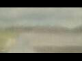 Webcam Alachua, Florida